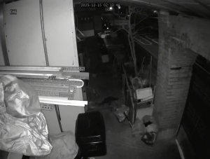 Caméra IP - South Korea