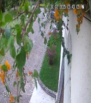 Caméra IP - Guatemala