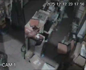 Caméra IP - Portogallo