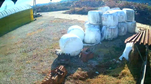 Caméra IP - República de Corea