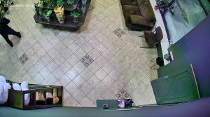 Caméra IP - Russische Föderation