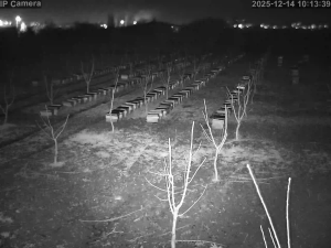 Caméra IP - Turquie