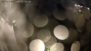 Caméra IP - United States of America