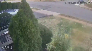 Caméra IP - États-Unis d'Amérique