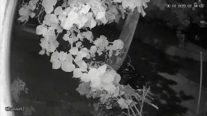 Caméra IP - Bolivia