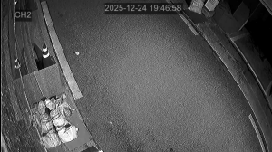 Caméra IP - South Korea