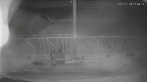 Caméra IP - South Korea