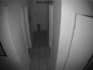 Caméra IP - United States of America