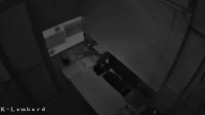 Caméra IP - Russian Federation