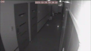 Caméra IP - República de Corea