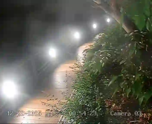 Caméra IP - Hong Kong