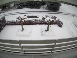 Caméra IP - Pays-Bas