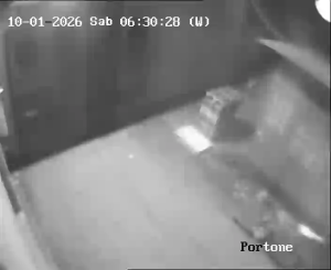 Caméra IP - Italien