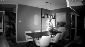 Caméra IP - Niederlande