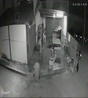 Caméra IP - Thailand