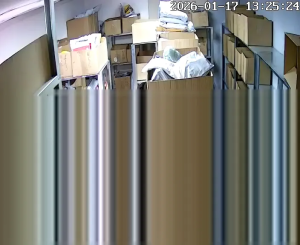 Caméra IP - Russian Federation