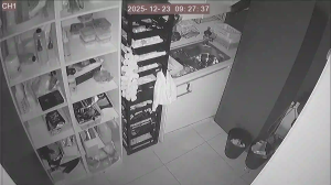 Caméra IP - Südkorea