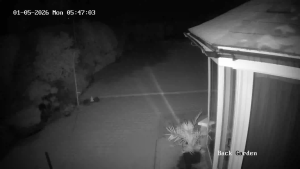 Caméra IP - United Kingdom