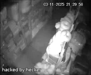 Caméra IP - Ucrania