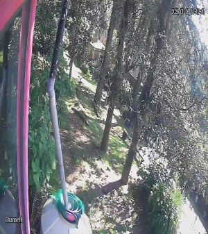 Caméra IP - Mexique