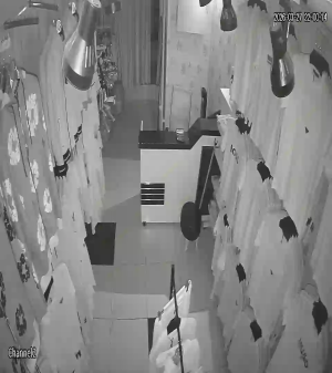 Caméra IP - Turquía