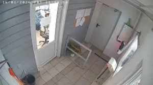 Caméra IP - Russian Federation