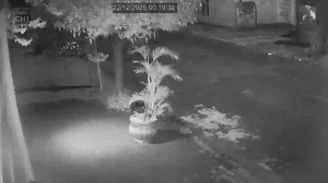 Caméra IP - Brasilien