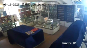Caméra IP - China