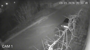 Caméra IP - Bulgaria