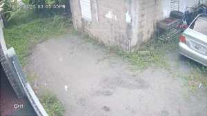 Caméra IP - Porto Rico
