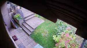 Caméra IP - Switzerland