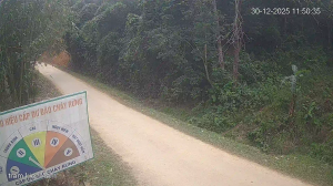 Caméra IP - Vietnam