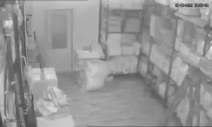 Caméra IP - Albania