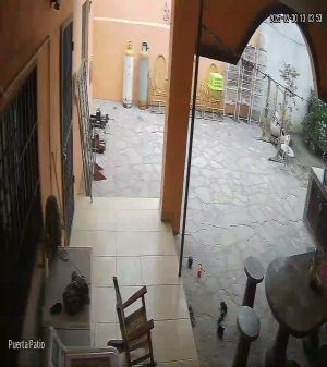 Caméra IP - Mexique