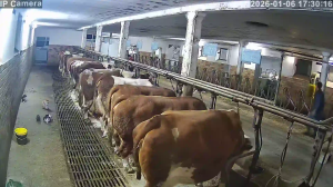 Caméra IP - Deutschland