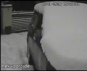 Caméra IP - Paesi Bassi