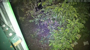 Caméra IP - Turquie