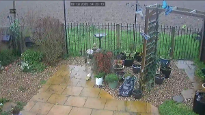 Caméra IP - United Kingdom