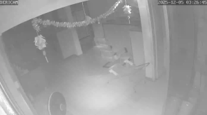 Caméra IP - Singapore