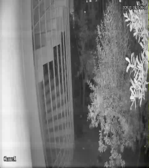 Caméra IP - Türkiye