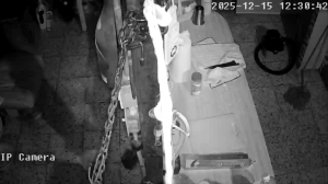 Caméra IP - Porto Rico