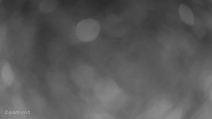 Caméra IP - Pays-Bas