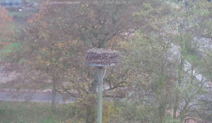 Caméra IP - Germany