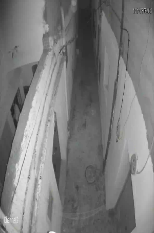 Caméra IP - Tunesien