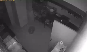 Caméra IP - Moldova, Republic of