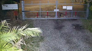 Caméra IP - Regno Unito