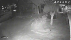 Caméra IP - Lituanie