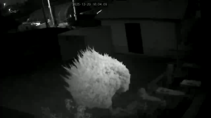 Caméra IP - Sydkorea