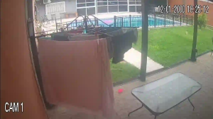 Caméra IP - Argentina