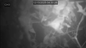 Caméra IP - República de Corea